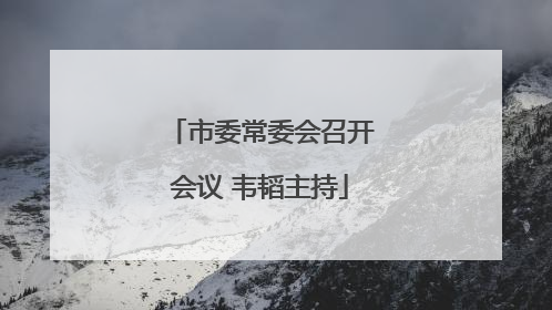 市委常委会召开会议 韦韬主持