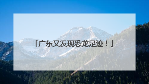 广东又发现恐龙足迹！