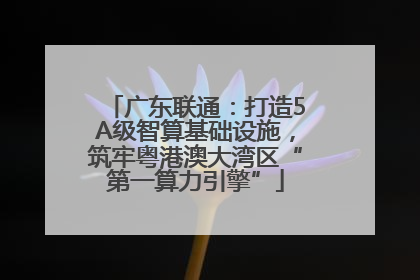 广东联通：打造5A级智算基础设施，筑牢粤港澳大湾区“第一算力引擎”