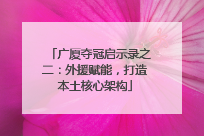 广厦夺冠启示录之二：外援赋能，打造本土核心架构