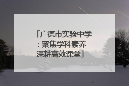 广德市实验中学：聚焦学科素养 深耕高效课堂