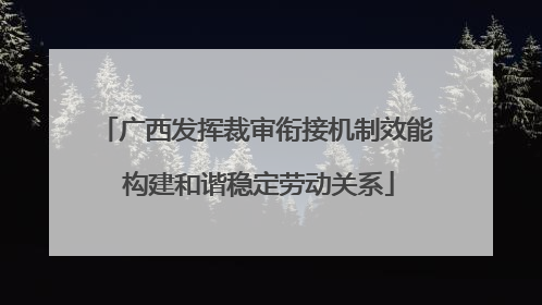 广西发挥裁审衔接机制效能 构建和谐稳定劳动关系