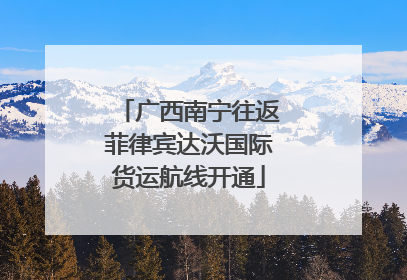 广西南宁往返菲律宾达沃国际货运航线开通