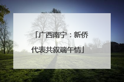 广西南宁：新侨代表共叙端午情