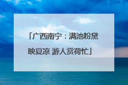 广西南宁：满池粉黛映夏凉 游人赏荷忙