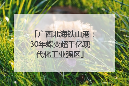 广西北海铁山港：30年蝶变超千亿现代化工业强区