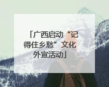 广西启动“记得住乡愁”文化外宣活动