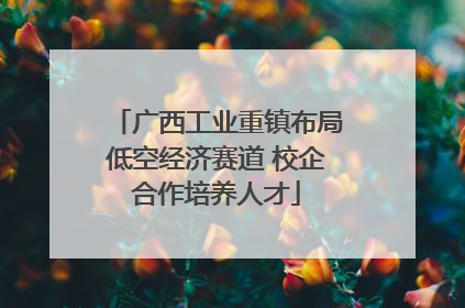 广西工业重镇布局低空经济赛道 校企合作培养人才