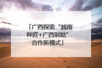 广西探索“越南种蔗+广西制糖”合作新模式