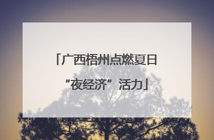广西梧州点燃夏日“夜经济”活力