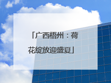 广西梧州：荷花绽放迎盛夏
