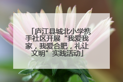 庐江县城北小学携手社区开展“我爱我家，我爱合肥，礼让文明”实践活动