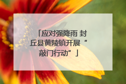 应对强降雨 封丘县黄陵镇开展“敲门行动”