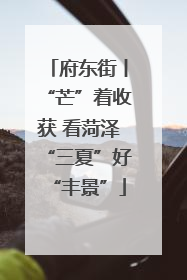 府东街丨“芒”着收获 看菏泽“三夏”好“丰景”