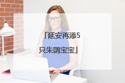 延安再添5只朱鹮宝宝