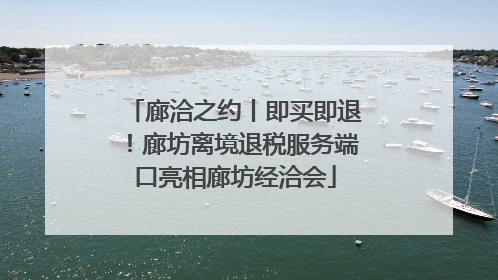 廊洽之约丨即买即退！廊坊离境退税服务端口亮相廊坊经洽会