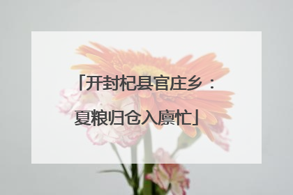 开封杞县官庄乡：夏粮归仓入廪忙
