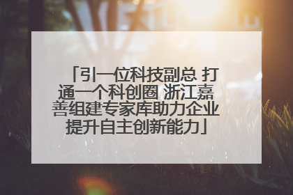 引一位科技副总 打通一个科创圈 浙江嘉善组建专家库助力企业提升自主创新能力