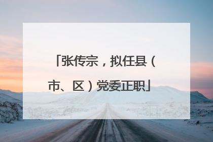 张传宗，拟任县（市、区）党委正职
