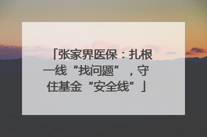 张家界医保：扎根一线“找问题”，守住基金“安全线”