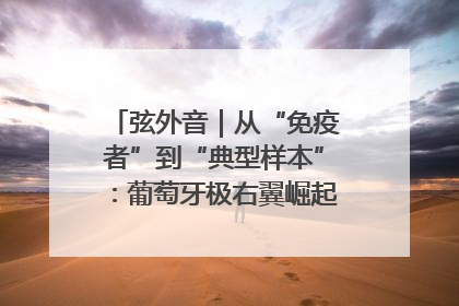 弦外音｜从“免疫者”到“典型样本”：葡萄牙极右翼崛起背后的欧洲困局