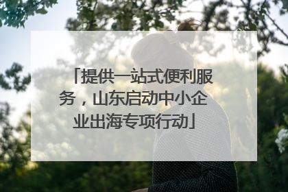 提供一站式便利服务，山东启动中小企业出海专项行动