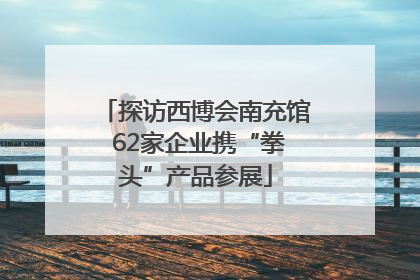 探访西博会南充馆 62家企业携“拳头”产品参展