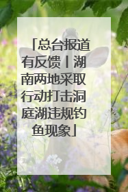 总台报道有反馈丨湖南两地采取行动打击洞庭湖违规钓鱼现象