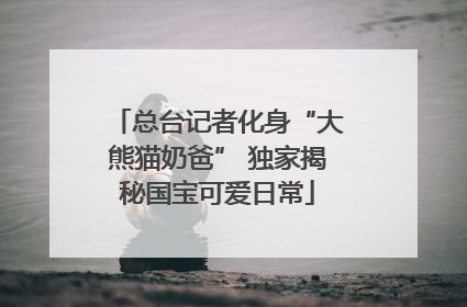 总台记者化身“大熊猫奶爸” 独家揭秘国宝可爱日常