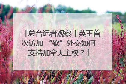 总台记者观察丨英王首次访加 “软”外交如何支持加拿大主权？
