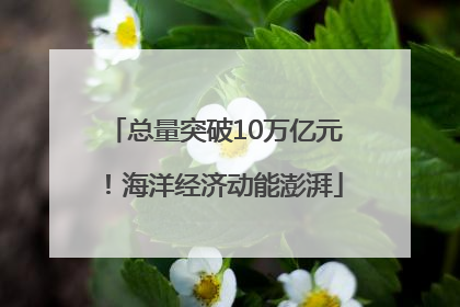 总量突破10万亿元！海洋经济动能澎湃