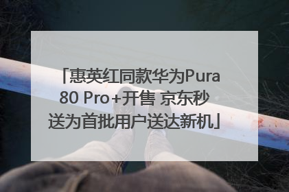 惠英红同款华为Pura 80 Pro+开售 京东秒送为首批用户送达新机