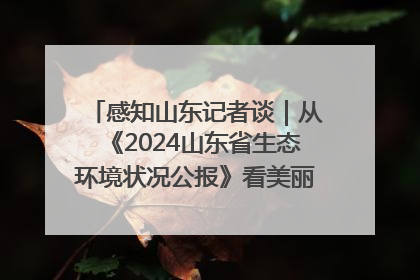 感知山东记者谈｜从《2024山东省生态环境状况公报》看美丽山东建设的“成绩单”与“任务书”