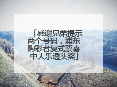 感谢兄弟提示两个号码，浦东购彩者复式票喜中大乐透头奖