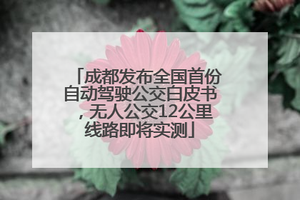成都发布全国首份自动驾驶公交白皮书，无人公交12公里线路即将实测