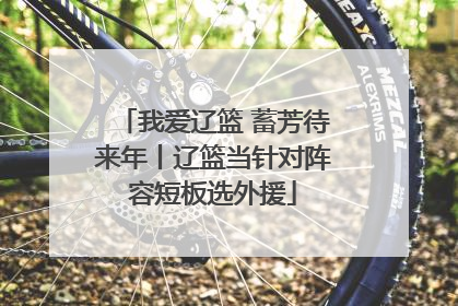 我爱辽篮 蓄芳待来年丨辽篮当针对阵容短板选外援