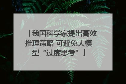 我国科学家提出高效推理策略 可避免大模型“过度思考”