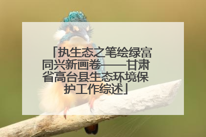 执生态之笔绘绿富同兴新画卷——甘肃省高台县生态环境保护工作综述