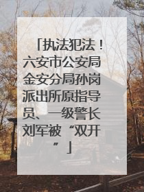 执法犯法！六安市公安局金安分局孙岗派出所原指导员、一级警长刘军被“双开”