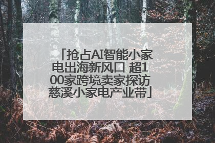 抢占AI智能小家电出海新风口 超100家跨境卖家探访慈溪小家电产业带