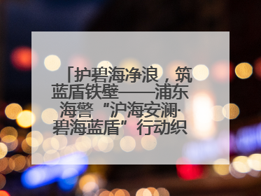 护碧海净浪，筑蓝盾铁壁——浦东海警“沪海安澜·碧海蓝盾”行动织密立体防控网