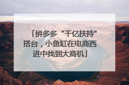 拼多多“千亿扶持”搭台，小鱼缸在电商西进中找到大商机