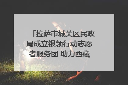 拉萨市城关区民政局成立银领行动志愿者服务团 助力西藏银发经济发展