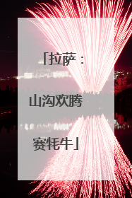 拉萨：山沟欢腾赛牦牛