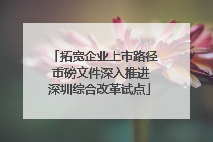 拓宽企业上市路径 重磅文件深入推进深圳综合改革试点