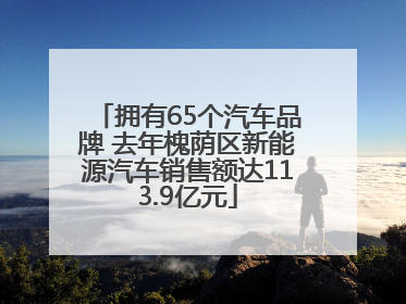 拥有65个汽车品牌 去年槐荫区新能源汽车销售额达113.9亿元