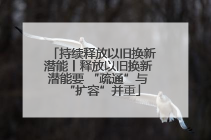 持续释放以旧换新潜能丨释放以旧换新潜能要 “疏通”与“扩容”并重