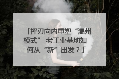 挥刃向内重塑“温州模式” 老工业基地如何从“新”出发？