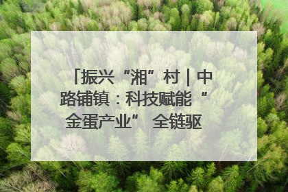 振兴“湘”村｜中路铺镇：科技赋能“金蛋产业” 全链驱动乡村振兴