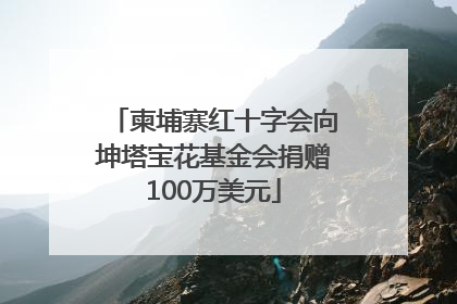 柬埔寨红十字会向坤塔宝花基金会捐赠100万美元